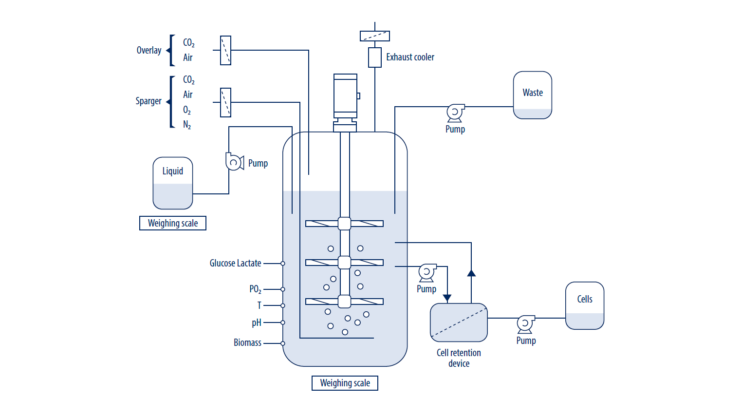 Sådan fungerer gasningen af en bioreaktor