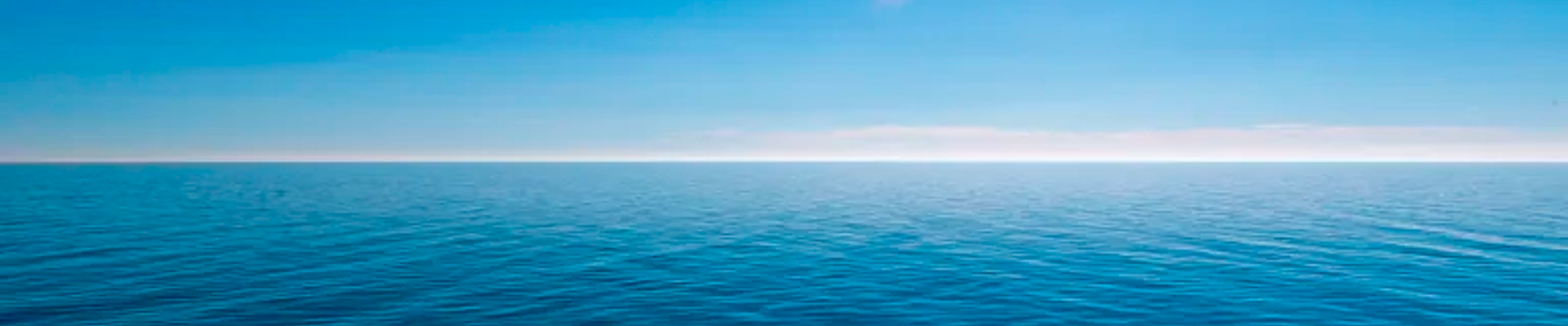 Chelsea Technologies Banner Seascape